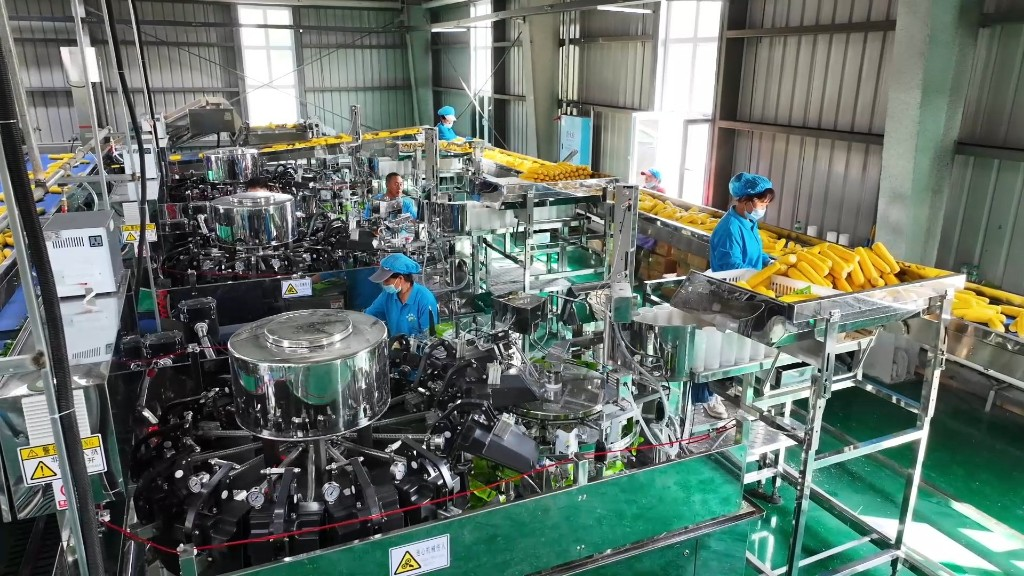黑龙江聚焦农产品精深加工业｜壮大县域经济的关键力量(图2)