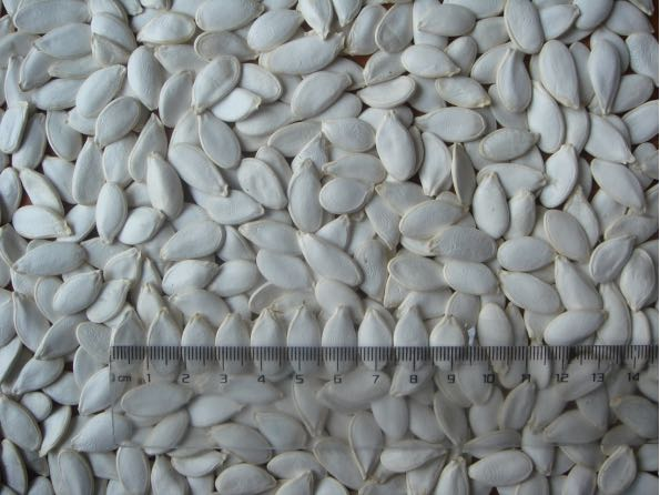 黑龙江聚焦农产品精深加工业｜壮大县域经济的关键力量(图5)