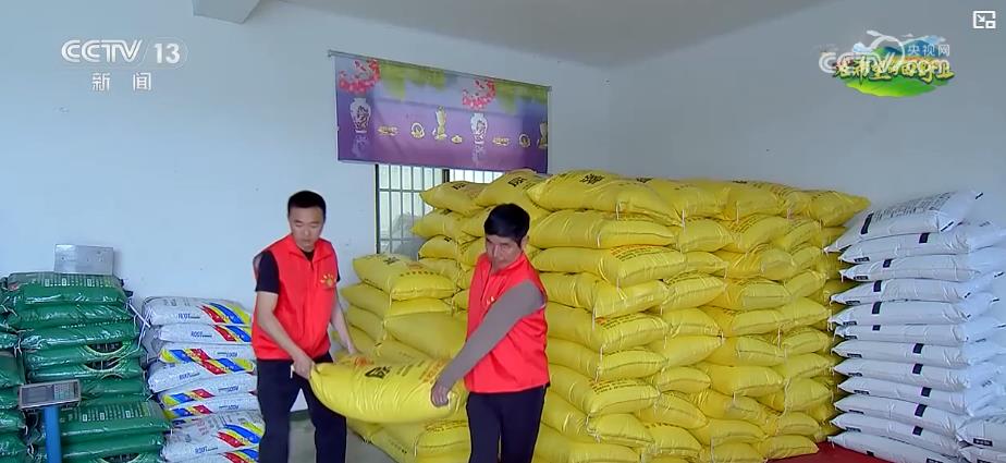 春耕新图景：智能装备与科学调配助力农业生产(图2)