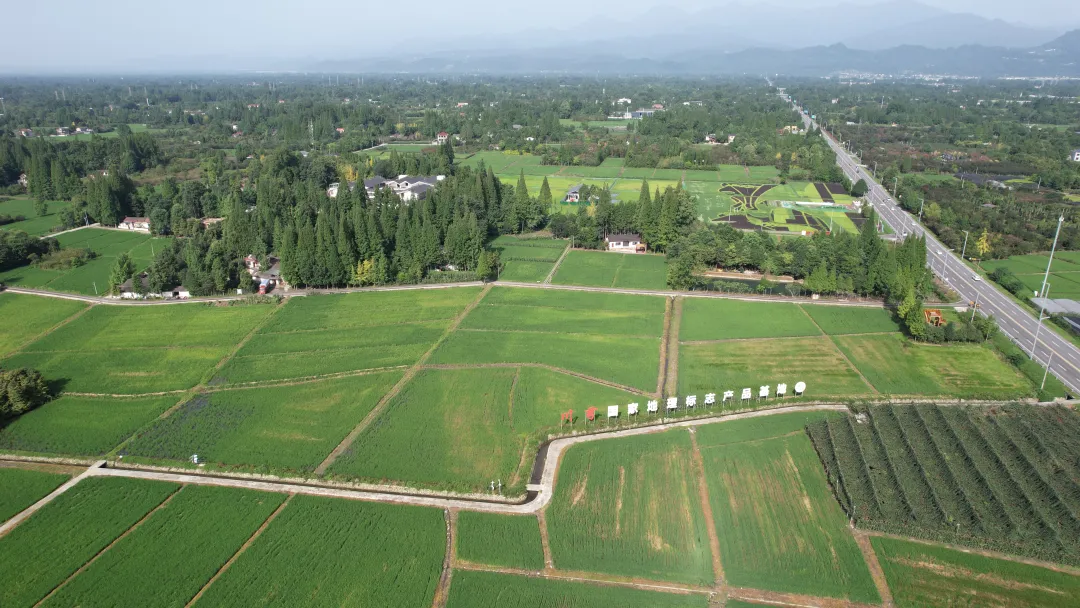 都江堰最新城市LOGO“一堰润天府”正式发布！(图15)