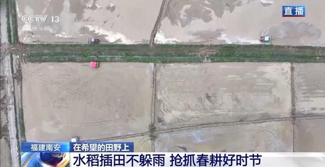 北斗导航智能农机遍地跑各地早稻插秧进行时(图1)