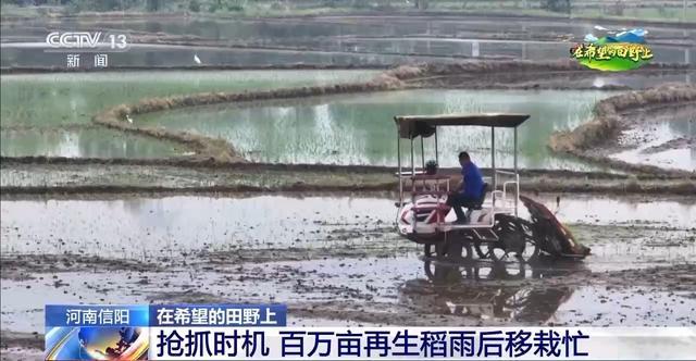 北斗导航智能农机遍地跑各地早稻插秧进行时(图4)