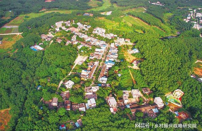 海南国家农业产业强镇发展现状分析报告（2025年政策专版）(图3)