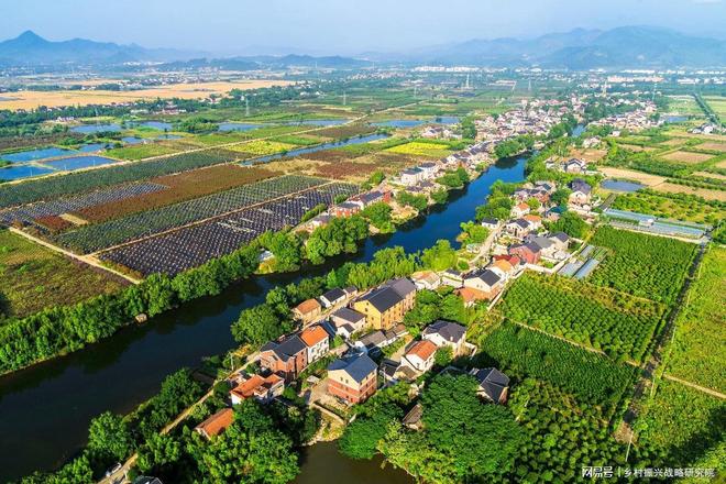 安博体育平台：浙江省国家农业产业强镇发展现状分析报告（2025年专版）(图1)