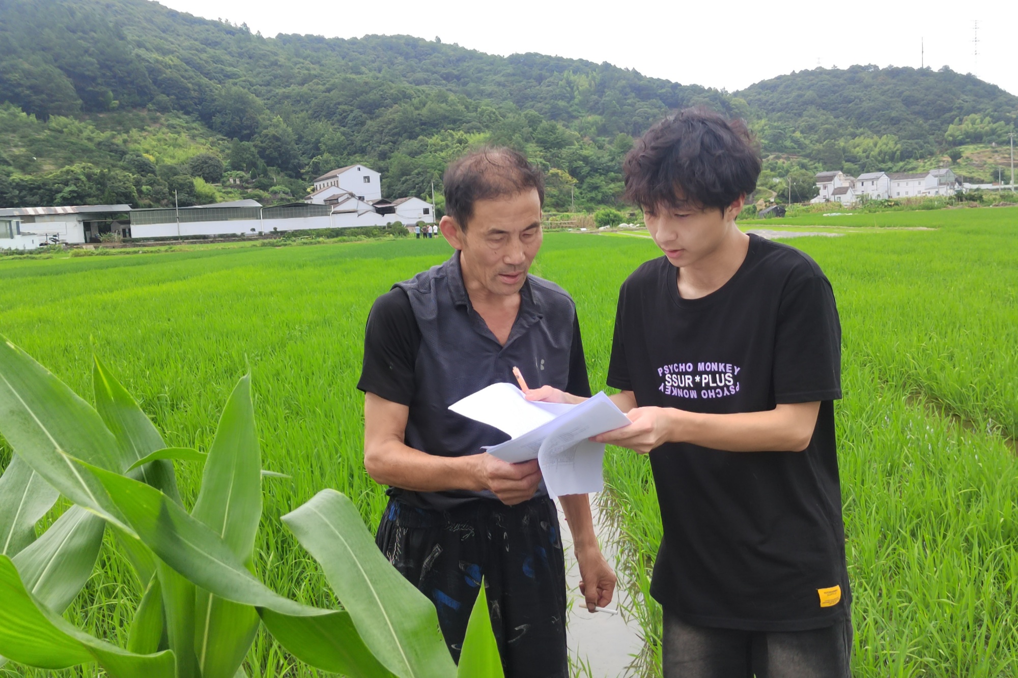 稻田间的“智慧密码”高校师生科技赋能乡村振兴(图2)