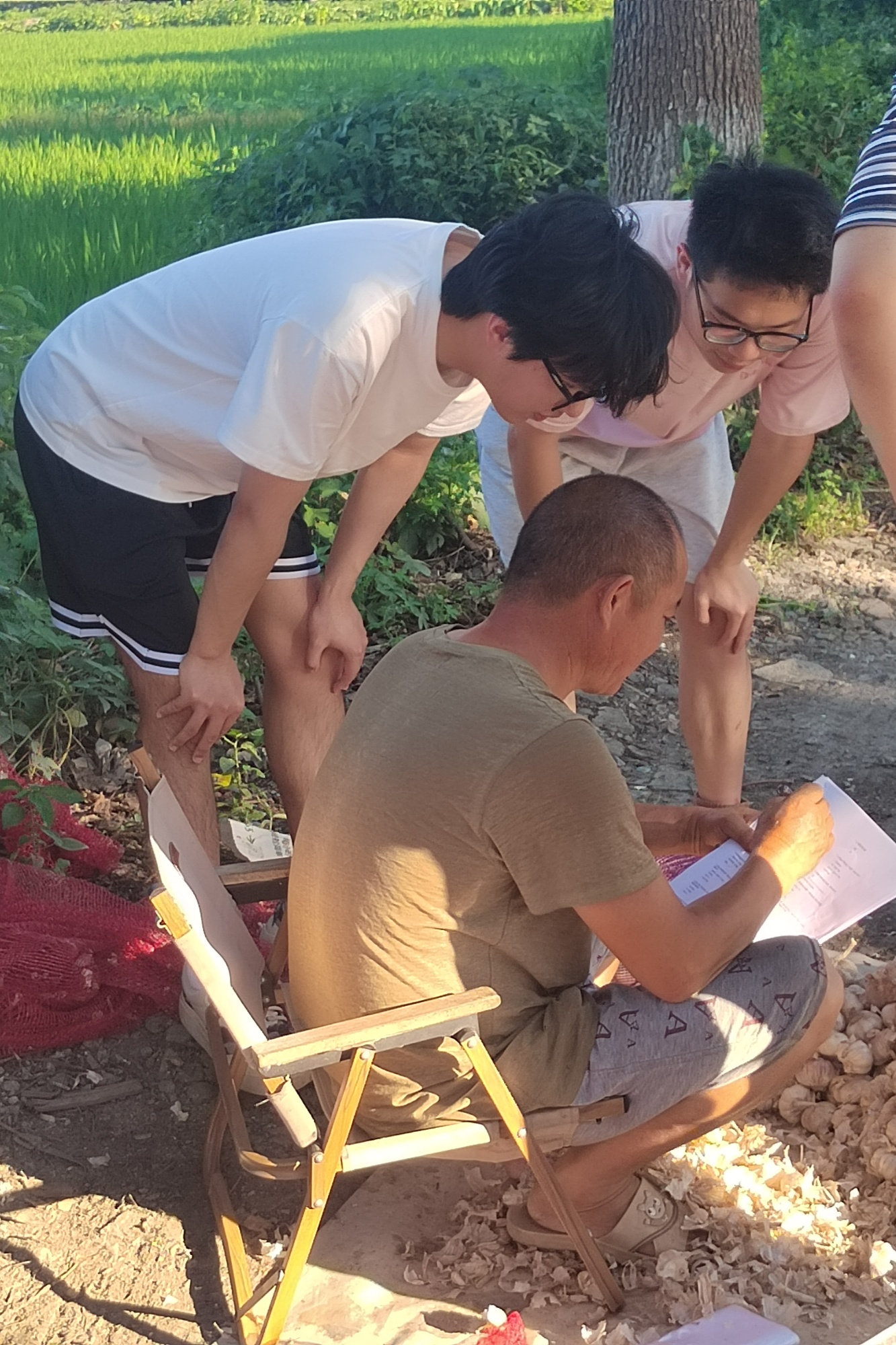 稻田间的“智慧密码”高校师生科技赋能乡村振兴(图3)