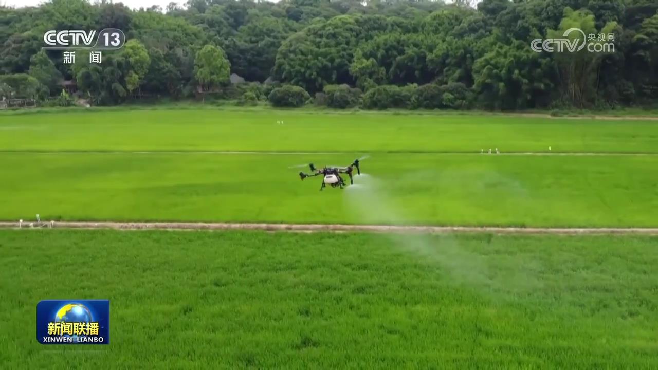 安博体育：【在希望的田野上·三夏时节】向科技要产能助力全年粮食丰收(图3)