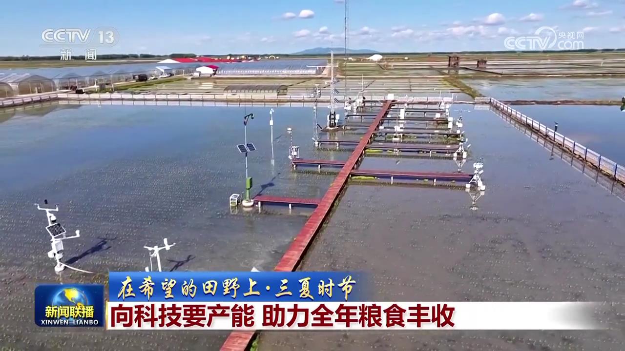 安博体育：【在希望的田野上·三夏时节】向科技要产能助力全年粮食丰收(图2)