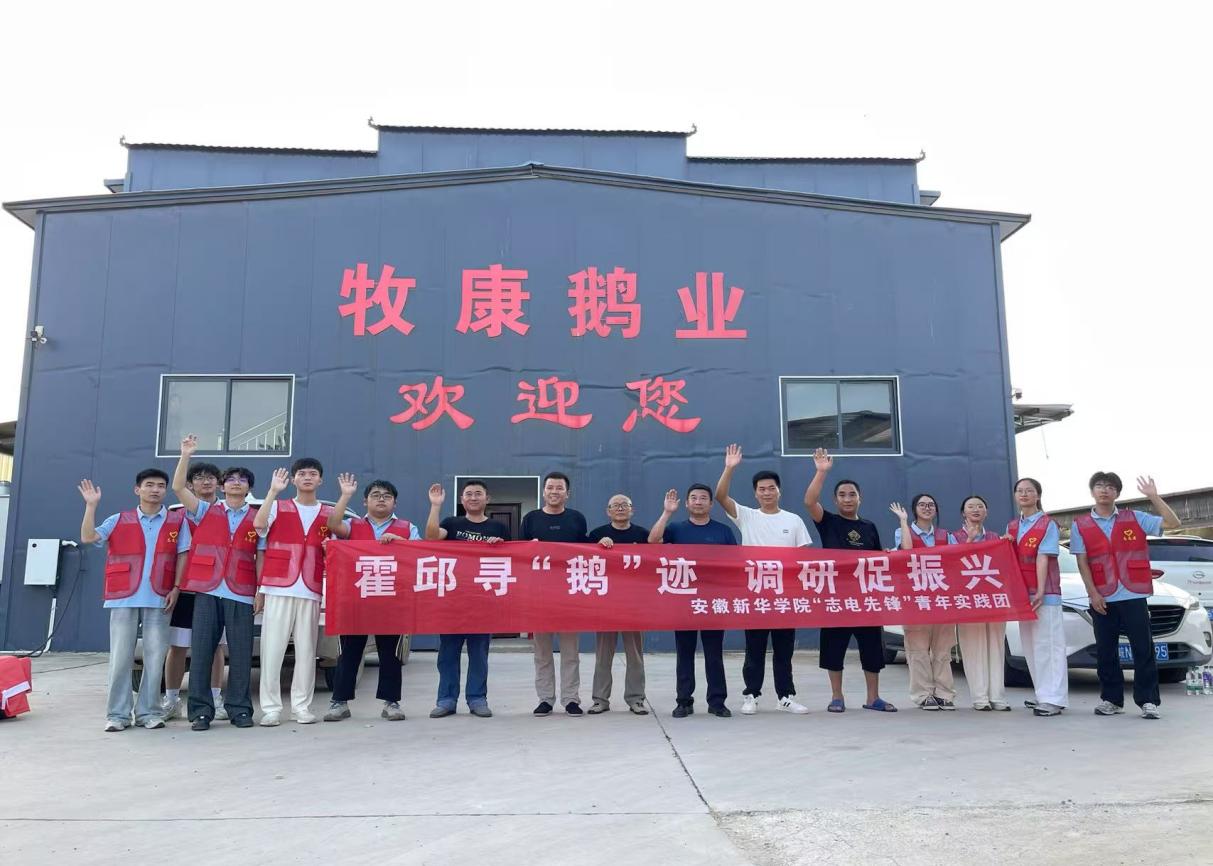 六安乡野间青春的足迹跃动成诗：科技为笔暖意为墨共绘振兴新卷(图5)