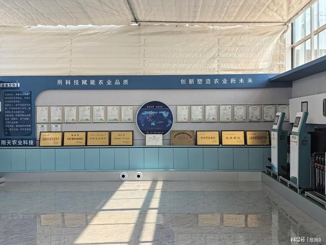 山东学子三下乡：寿光智能农业探新径科技赋能菜乡振乡村(图4)