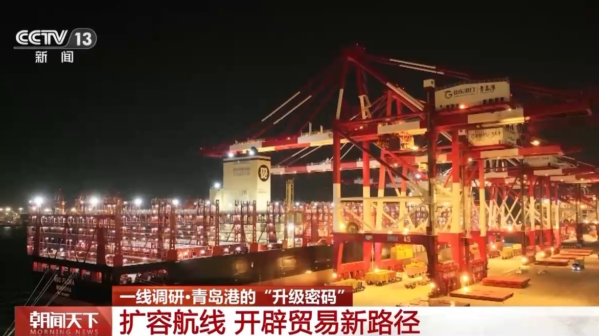一线分钟青岛港科技升级货物“秒通关”(图8)
