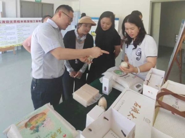 巴南政协委员调研石滩镇产业与治理赋能乡村振兴(图1)
