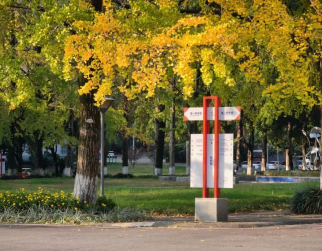 四川农业大学就业好不好？不管深造还是就业都挺能打！(图4)