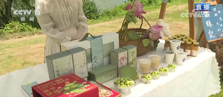 活力中国调研行“垃圾村”迎蝶变美丽乡村实现点“绿”成“金”(图6)