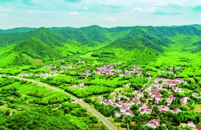 江苏省宜兴市丁蜀镇上坝村：茶山竹海传新曲(图2)