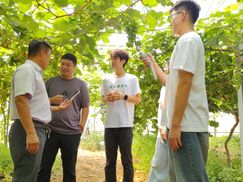 一镜连阡陌助农云端聚青春兴村(图2)