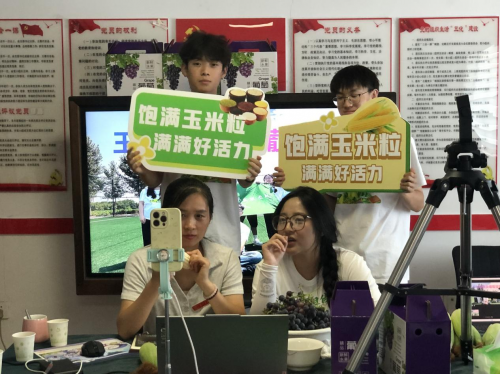 一镜连阡陌助农云端聚青春兴村(图4)