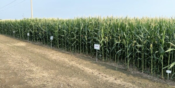 安博体育平台：中化农业MAP发布《2024绿色高质量发展报告(图5)