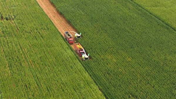 科技赋能绿色共生----中化农业MAP发布《2024绿色高质量发展报告(图3)