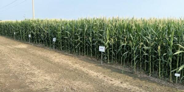 科技赋能绿色共生----中化农业MAP发布《2024绿色高质量发展报告(图5)