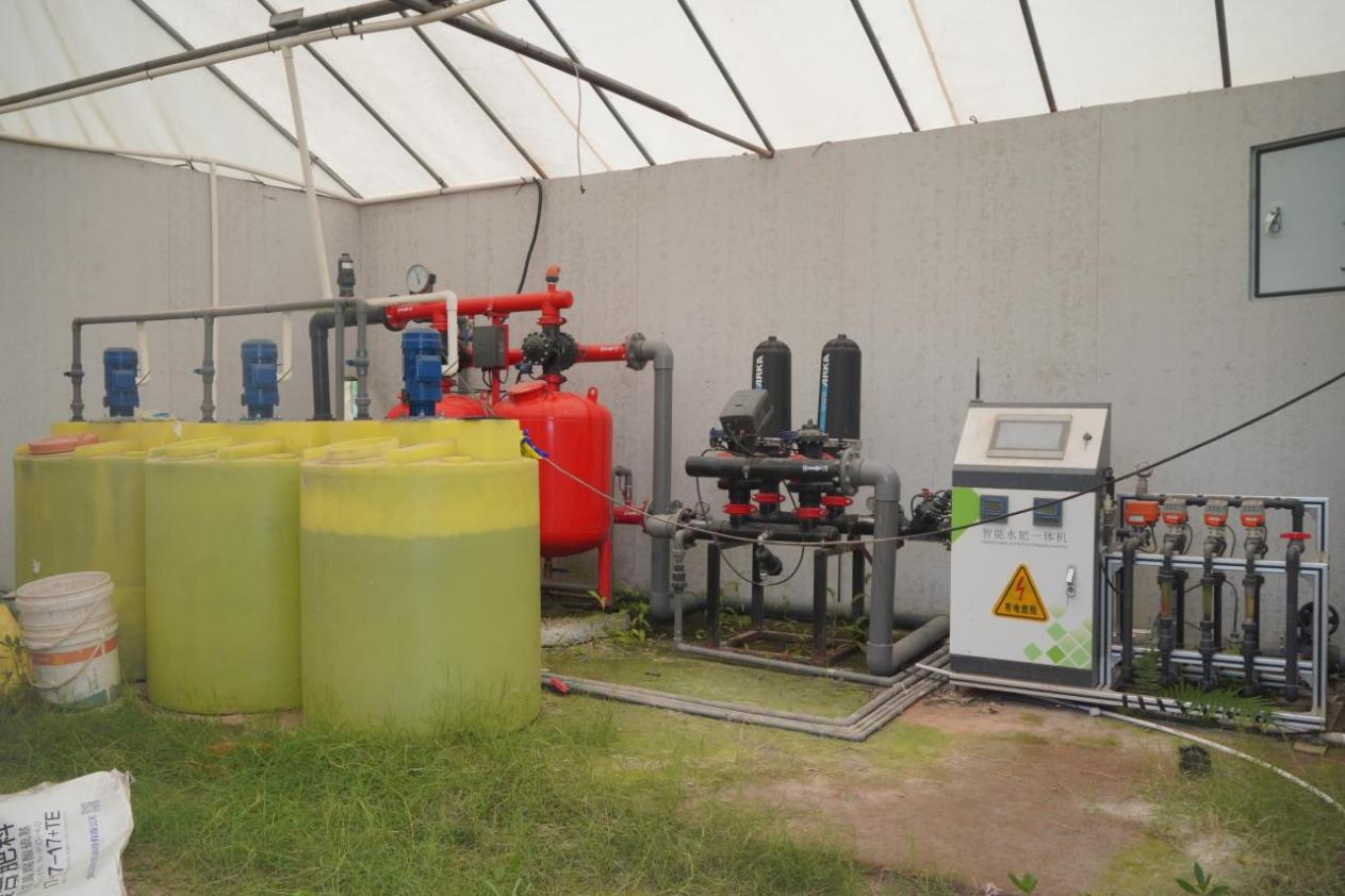 衡阳市蒸湘区：指尖种田数据生金看智慧农业如何“耕”出未来(图3)