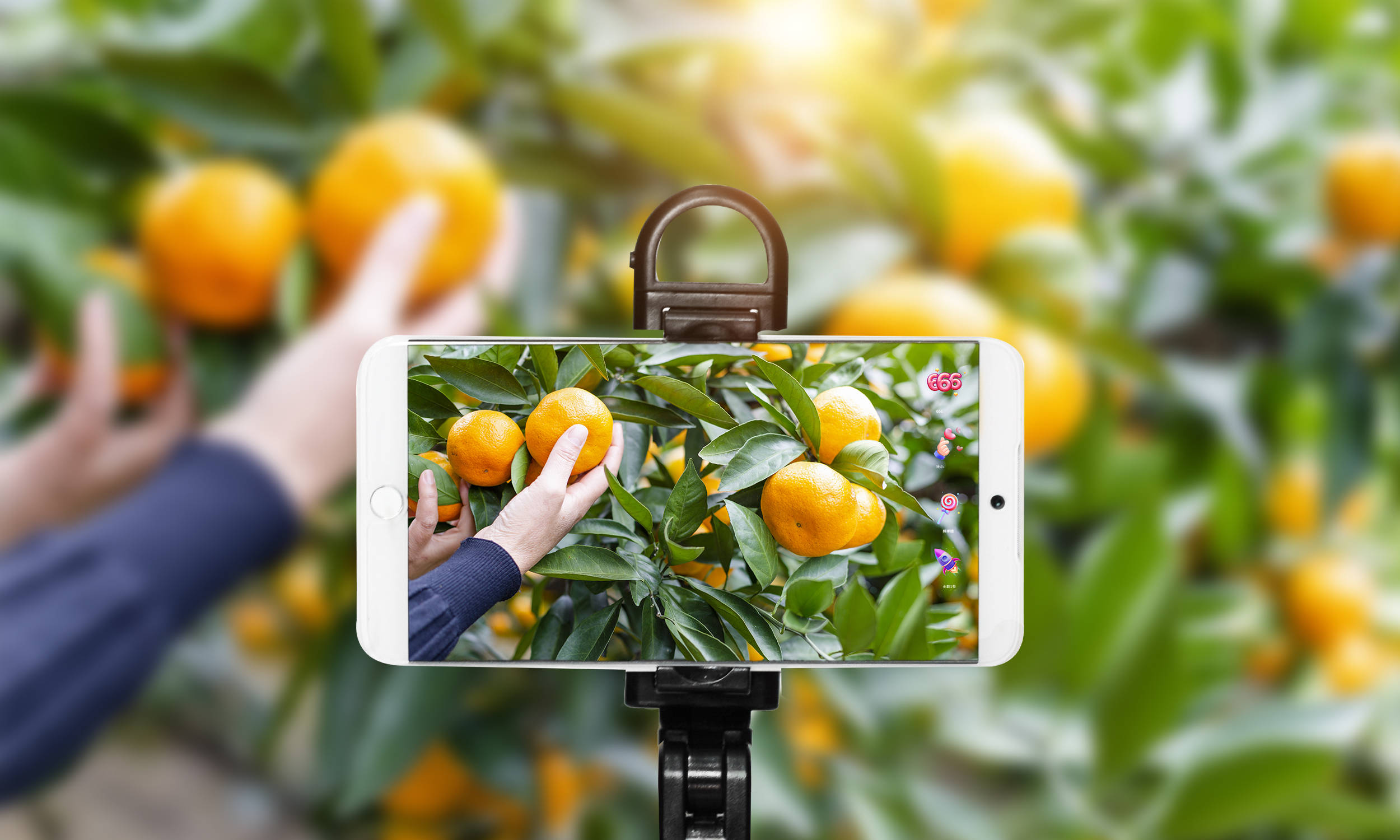 全球智慧农业发展四大趋势与展望(图6)