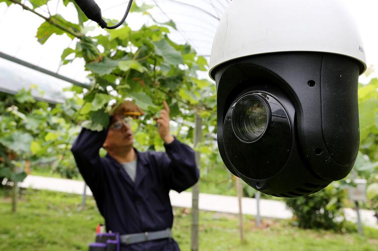 全球智慧农业发展四大趋势与展望(图8)