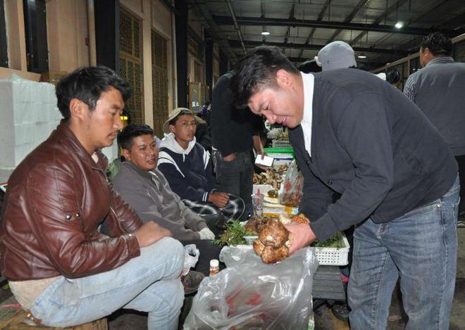 雅江松茸“鲜”飘万里“中国松茸之乡”为全球餐桌增味提鲜(图3)