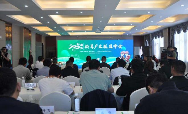 雅江松茸“鲜”飘万里“中国松茸之乡”为全球餐桌增味提鲜(图8)