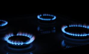 2024年农业种植行业市场深度分析及投资策略预测中国科学院克隆小麦广谱抗白粉病基因(图2)