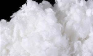 2024年农业种植行业市场深度分析及投资策略预测中国科学院克隆小麦广谱抗白粉病基因(图4)