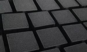 2024年农业种植行业市场深度分析及投资策略预测中国科学院克隆小麦广谱抗白粉病基因(图5)