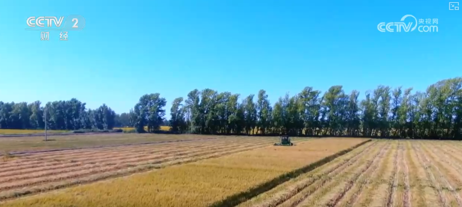 金秋好“丰”景有“智”又有“质”“智慧农业”成农民“靠地生金”硬底气(图2)