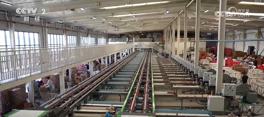 金秋好“丰”景有“智”又有“质”“智慧农业”成农民“靠地生金”硬底气(图5)