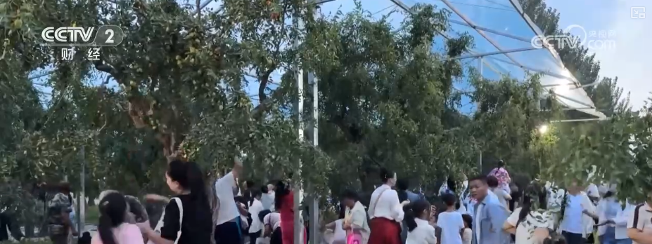 金秋好“丰”景有“智”又有“质”“智慧农业”成农民“靠地生金”硬底气(图8)