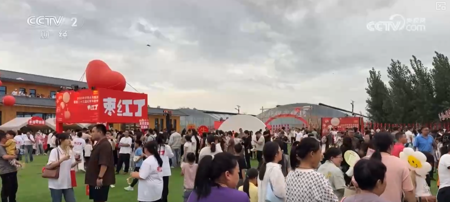 金秋好“丰”景有“智”又有“质”“智慧农业”成农民“靠地生金”硬底气(图9)