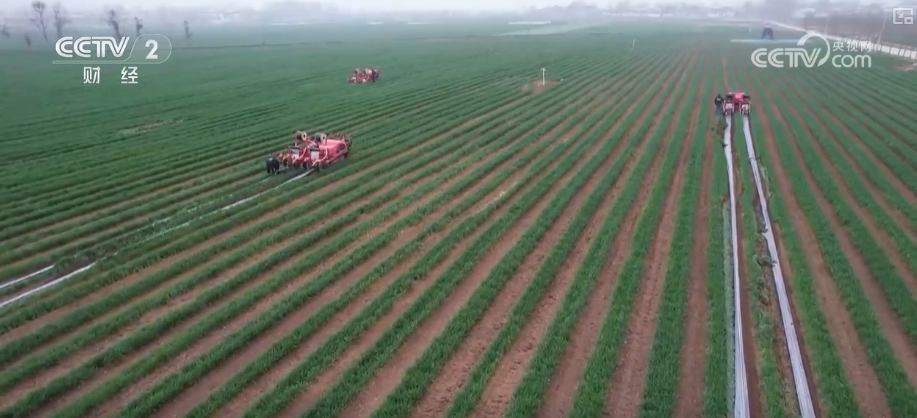 金秋好“丰”景有“智”又有“质”“智慧农业”成农民“靠地生金”硬底气(图13)