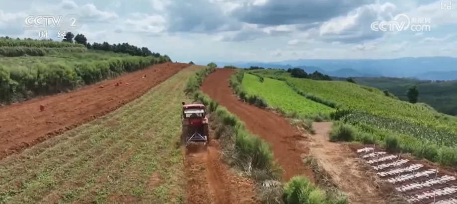 金秋好“丰”景有“智”又有“质”“智慧农业”成农民“靠地生金”硬底气(图14)