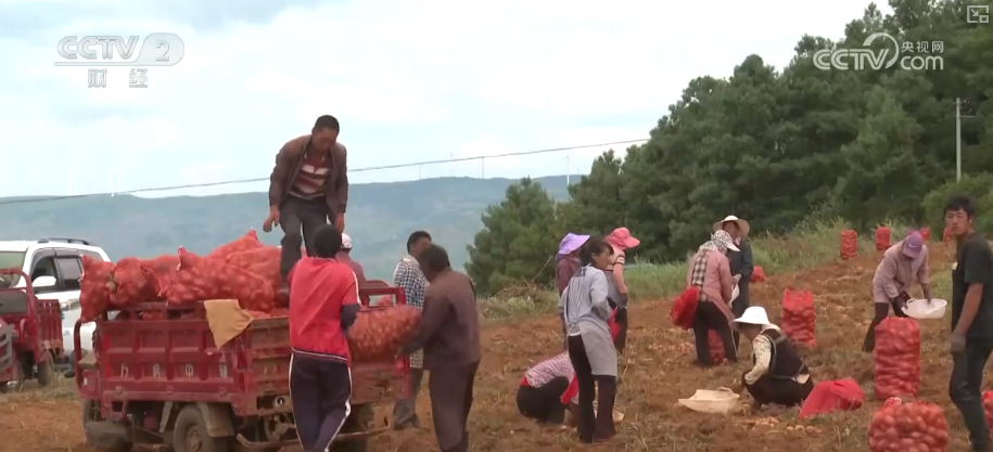 金秋好“丰”景有“智”又有“质”“智慧农业”成农民“靠地生金”硬底气(图16)