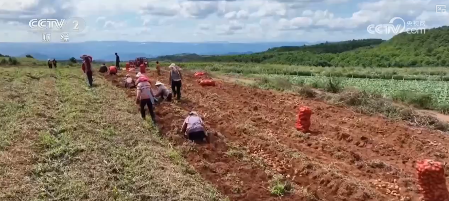 金秋好“丰”景有“智”又有“质”“智慧农业”成农民“靠地生金”硬底气(图17)