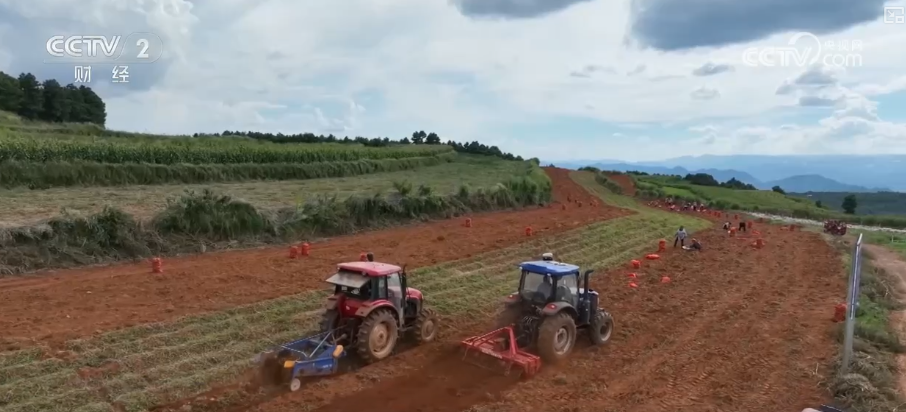 金秋好“丰”景有“智”又有“质”“智慧农业”成农民“靠地生金”硬底气(图15)