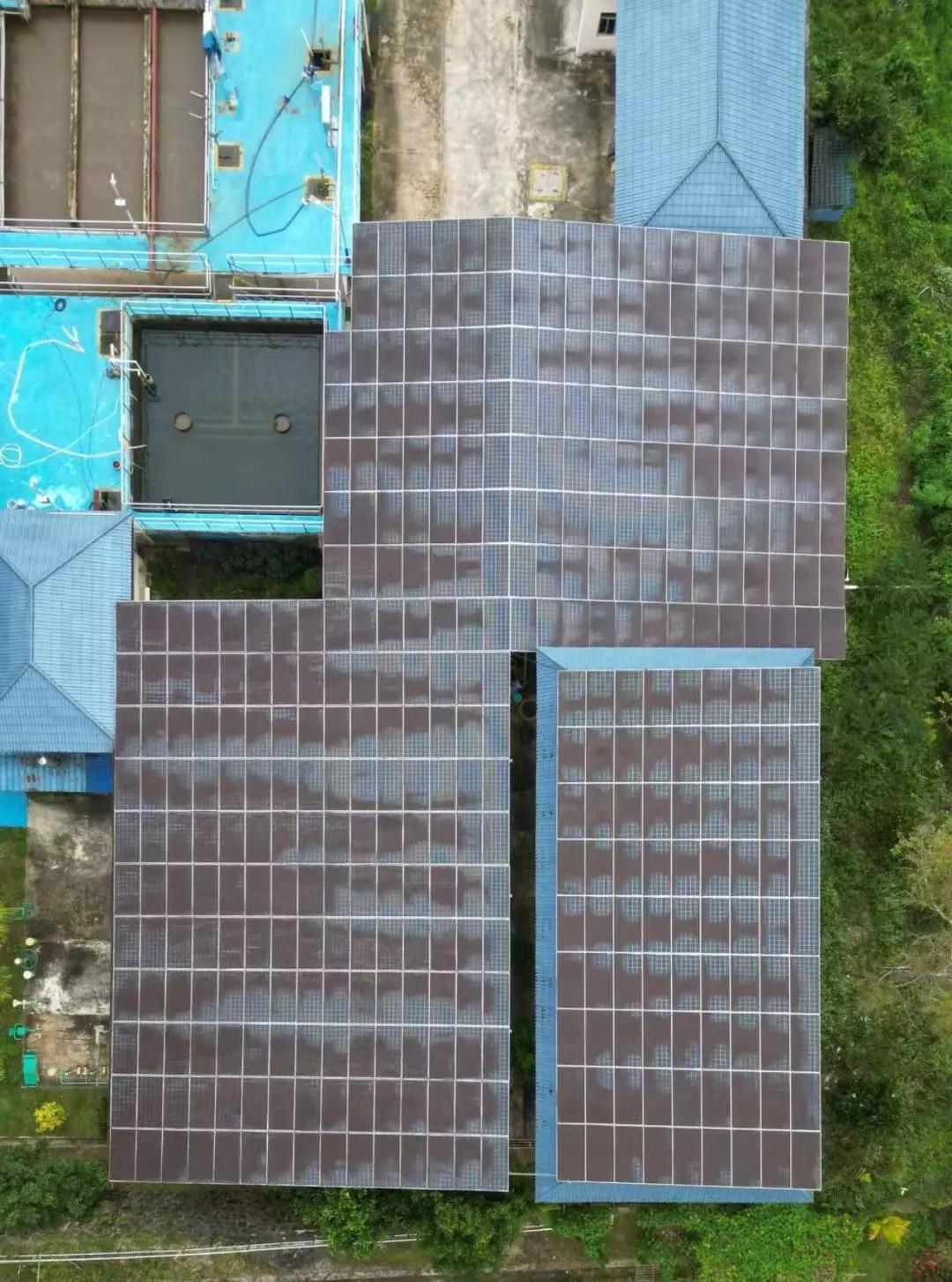 安博体育：精准发力各展所长多家央国企助力海南乡村振兴(图2)