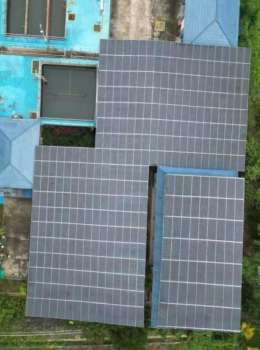 安博体育：精准发力各展所长多家央国企助力海南乡村振兴(图3)