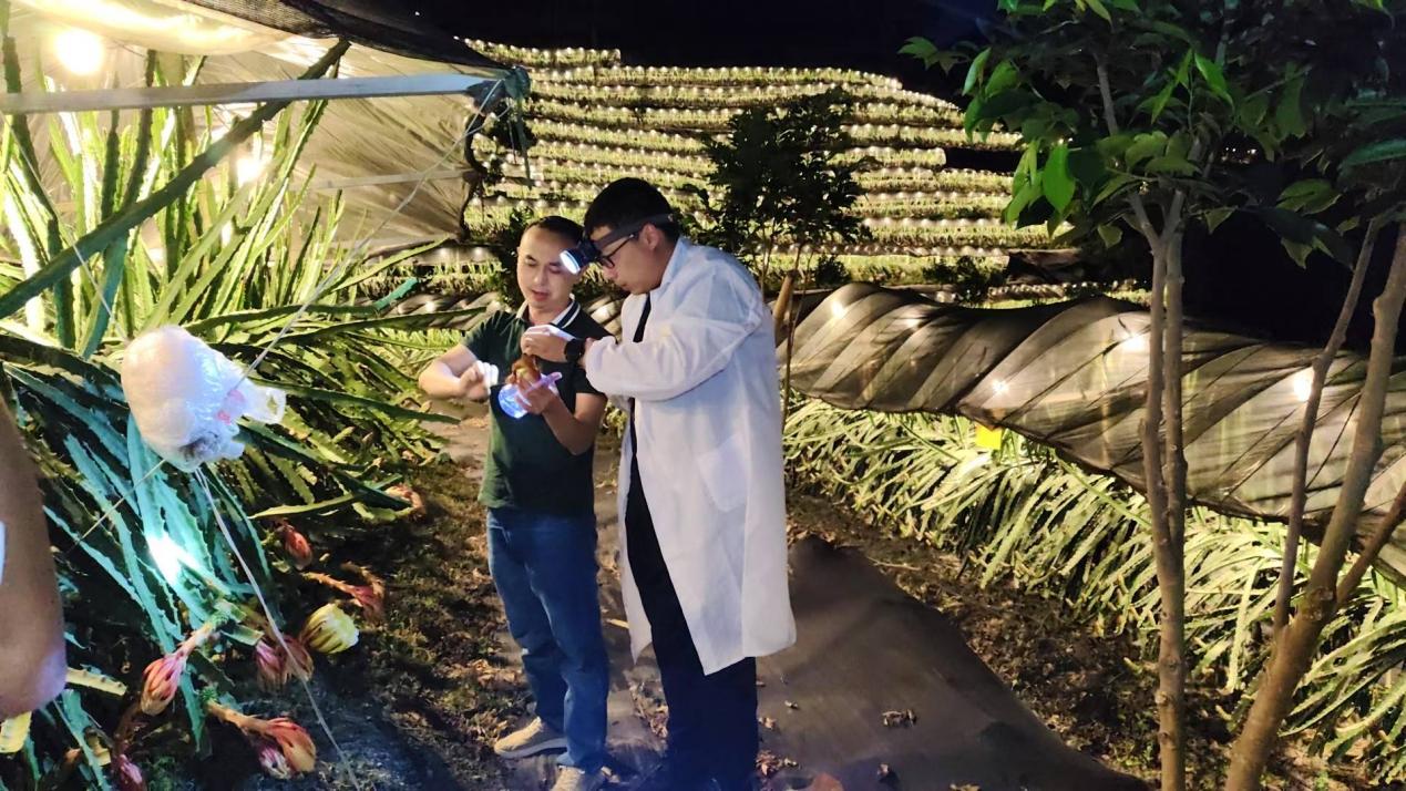 安博体育：精准发力各展所长多家央国企助力海南乡村振兴(图5)