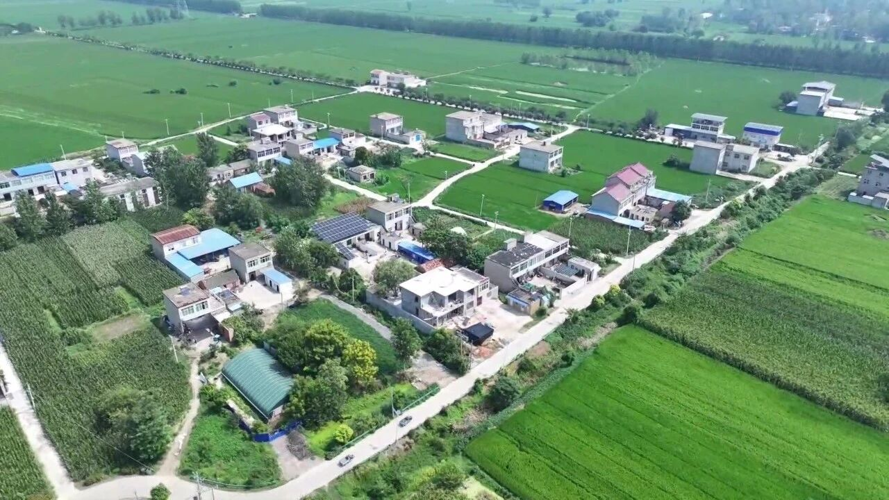 糯米深加工乡村振兴有奔头(图1)