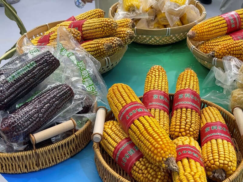 人工智能强势助力京津冀打造种业创新高地(图3)