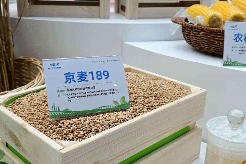人工智能强势助力京津冀打造种业创新高地(图4)