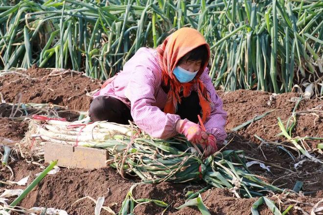 章丘这处市场年交易额破3亿！(图3)