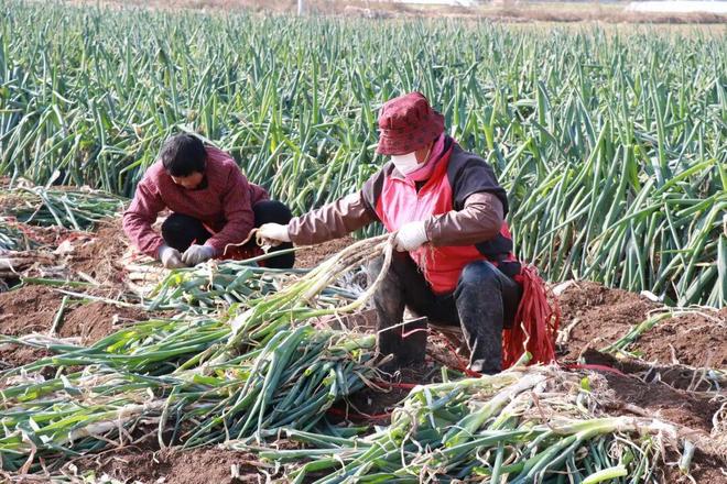 章丘这处市场年交易额破3亿！(图2)