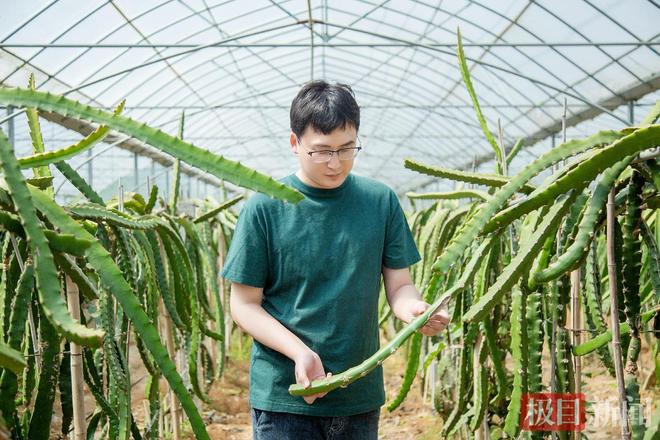 支点建设担当者  刘晓明：管理学博士变身新农人带领团队打造6大“智慧农业”新业态(图2)